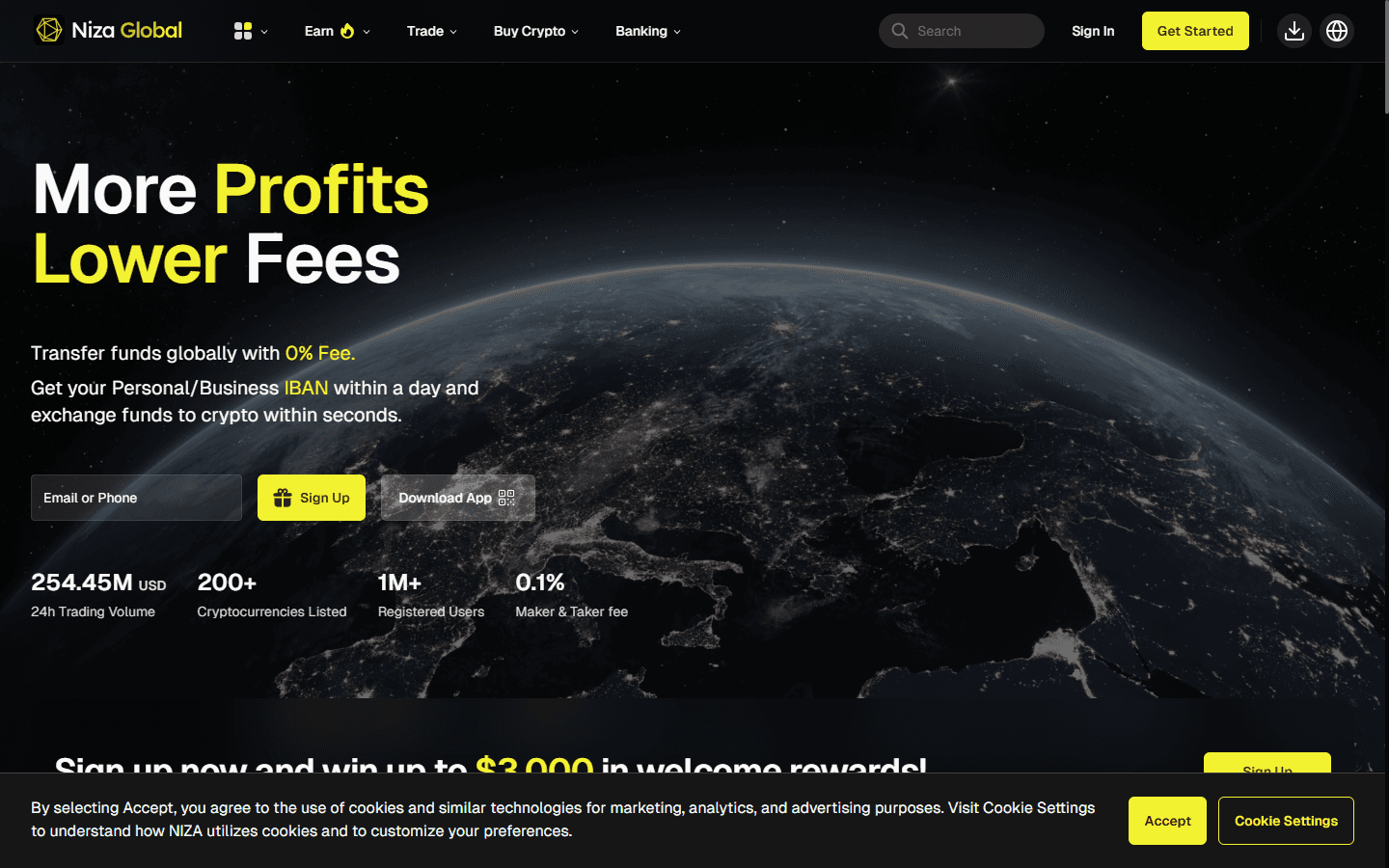 Niza Global crypto platform landing page